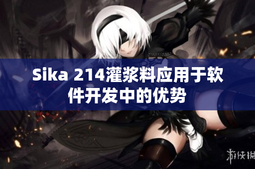 Sika 214灌浆料应用于软件开发中的优势