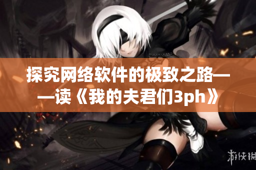 探究网络软件的极致之路——读《我的夫君们3ph》