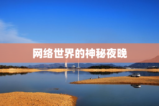 网络世界的神秘夜晚