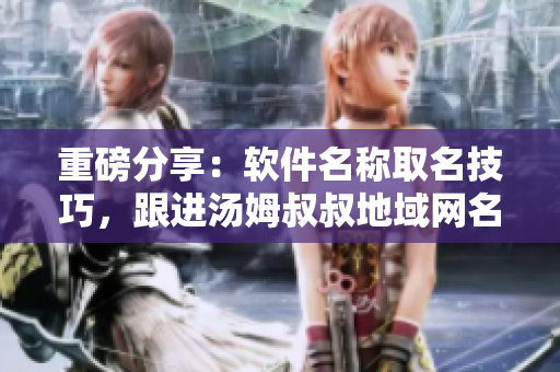 重磅分享：软件名称取名技巧，跟进汤姆叔叔地域网名的最新套路！