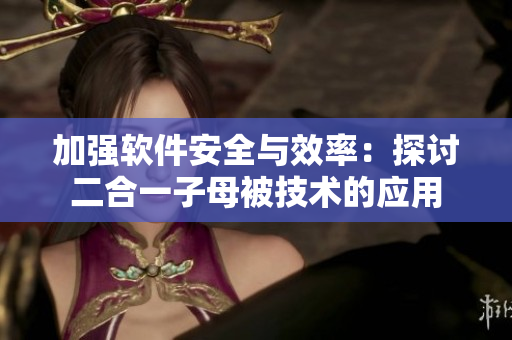 加强软件安全与效率：探讨二合一子母被技术的应用