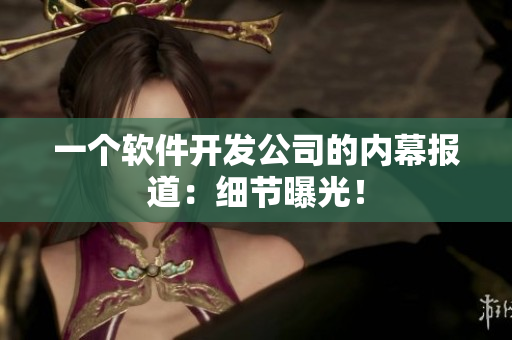 一个软件开发公司的内幕报道：细节曝光！