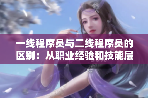 一线程序员与二线程序员的区别：从职业经验和技能层面分析