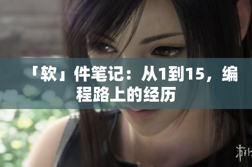 「软」件笔记：从1到15，编程路上的经历