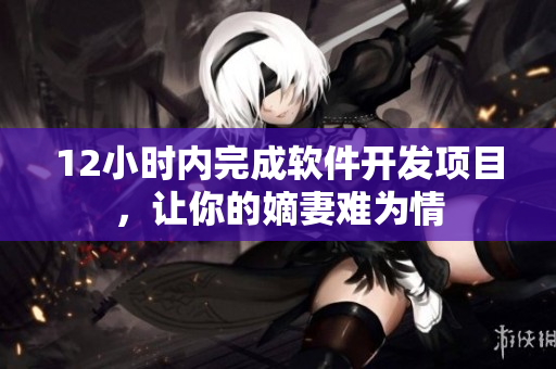 12小时内完成软件开发项目，让你的嫡妻难为情