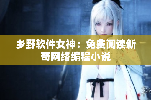 乡野软件女神：免费阅读新奇网络编程小说