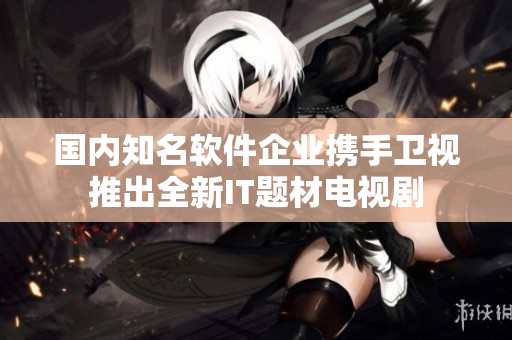 国内知名软件企业携手卫视推出全新IT题材电视剧