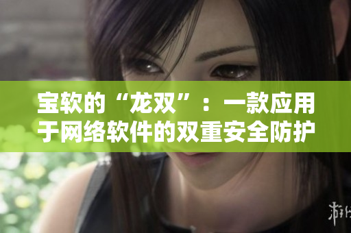宝软的“龙双”：一款应用于网络软件的双重安全防护工具