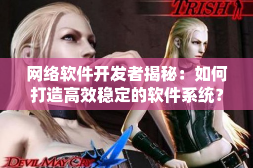 网络软件开发者揭秘：如何打造高效稳定的软件系统？