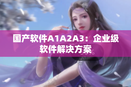 国产软件A1A2A3：企业级软件解决方案