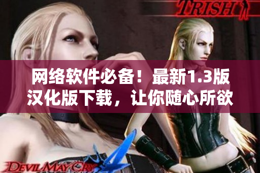 网络软件必备！最新1.3版汉化版下载，让你随心所欲