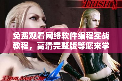 免费观看网络软件编程实战教程，高清完整版等您来学习