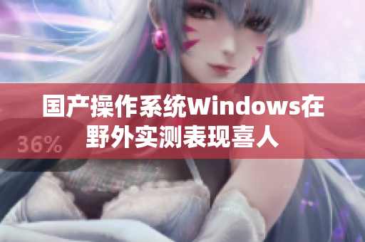 国产操作系统Windows在野外实测表现喜人