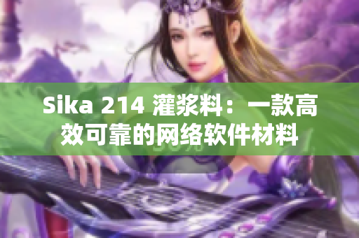 Sika 214 灌浆料：一款高效可靠的网络软件材料