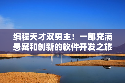 编程天才双男主！一部充满悬疑和创新的软件开发之旅