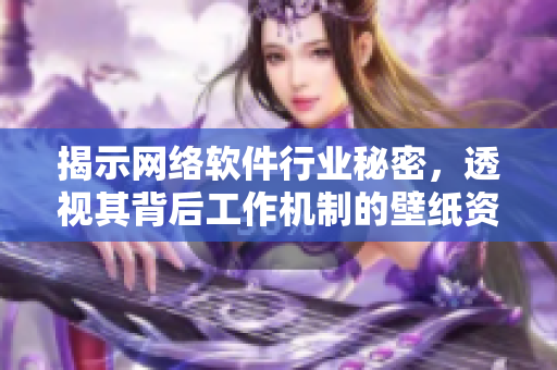 揭示网络软件行业秘密，透视其背后工作机制的壁纸资源包