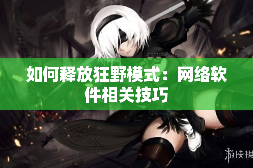 如何释放狂野模式：网络软件相关技巧