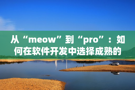 从“meow”到“pro”：如何在软件开发中选择成熟的命名约定？