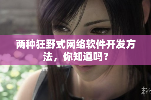 两种狂野式网络软件开发方法，你知道吗？
