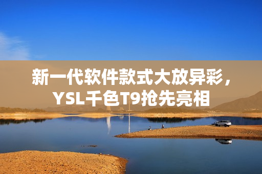新一代软件款式大放异彩，YSL千色T9抢先亮相