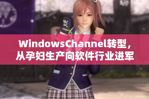 WindowsChannel转型，从孕妇生产向软件行业进军
