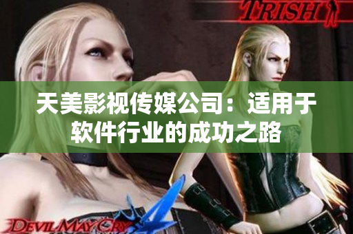 天美影视传媒公司：适用于软件行业的成功之路