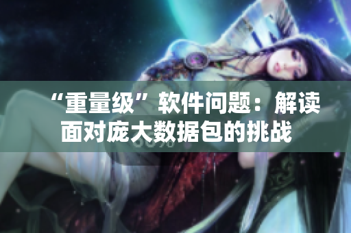 “重量级”软件问题：解读面对庞大数据包的挑战