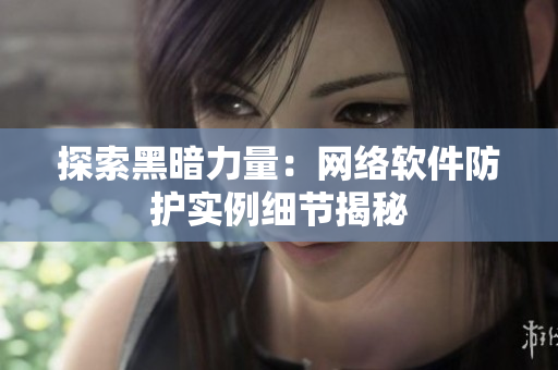 探索黑暗力量：网络软件防护实例细节揭秘