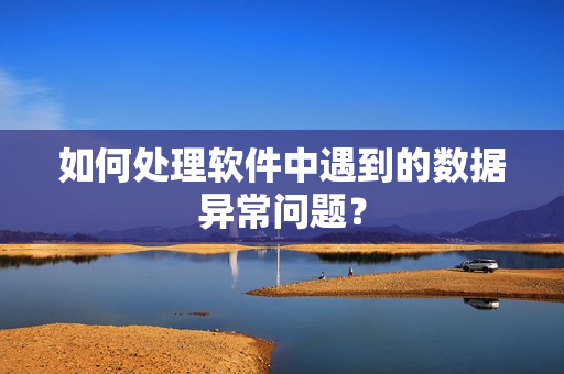 如何处理软件中遇到的数据异常问题？