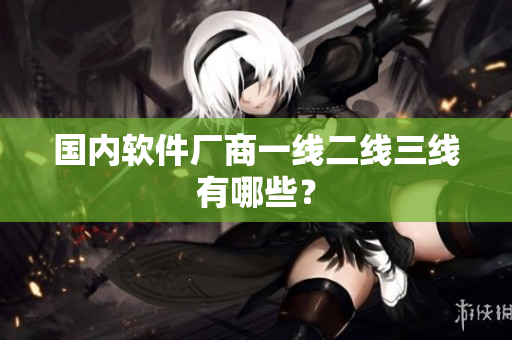 国内软件厂商一线二线三线有哪些？
