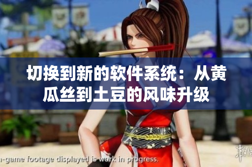 切换到新的软件系统：从黄瓜丝到土豆的风味升级