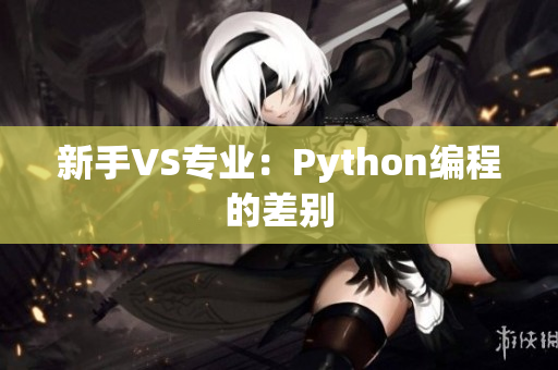 新手VS专业：Python编程的差别
