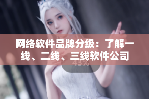 网络软件品牌分级：了解一线、二线、三线软件公司