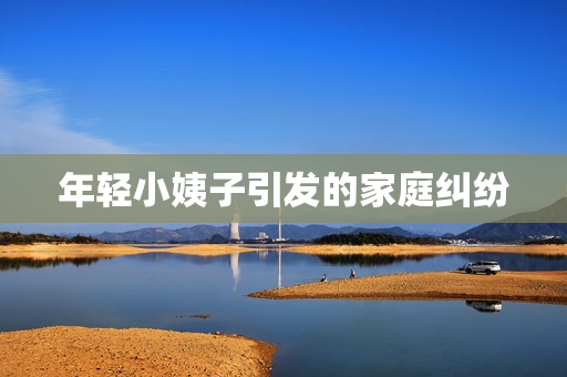 年轻小姨子引发的家庭纠纷