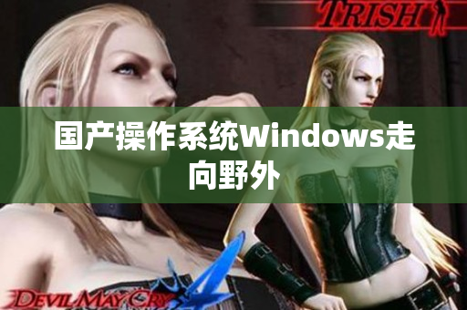 国产操作系统Windows走向野外