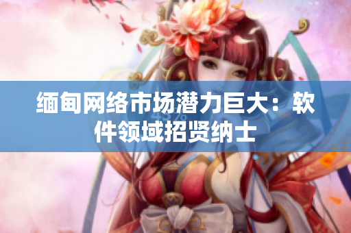 缅甸网络市场潜力巨大：软件领域招贤纳士