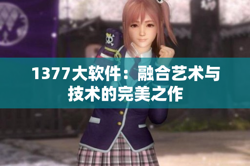 1377大软件：融合艺术与技术的完美之作