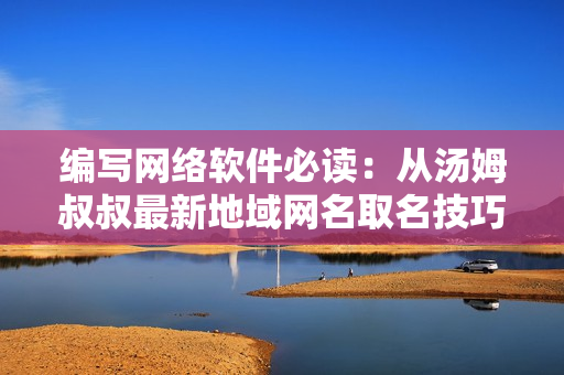 编写网络软件必读：从汤姆叔叔最新地域网名取名技巧中获得启示