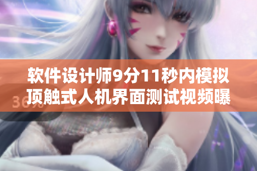 软件设计师9分11秒内模拟顶触式人机界面测试视频曝光