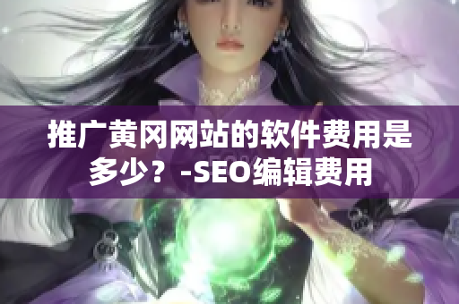 推广黄冈网站的软件费用是多少？-SEO编辑费用