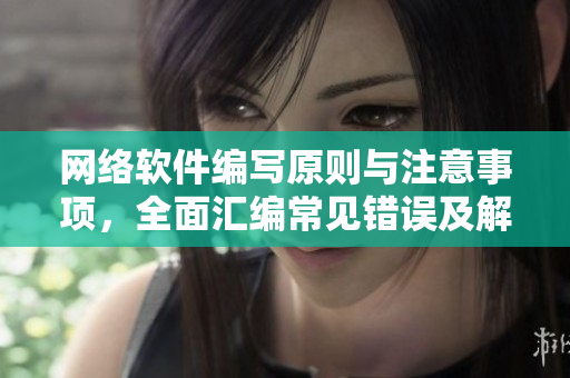 网络软件编写原则与注意事项，全面汇编常见错误及解决方法