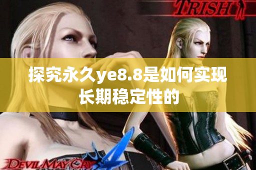 探究永久ye8.8是如何实现长期稳定性的