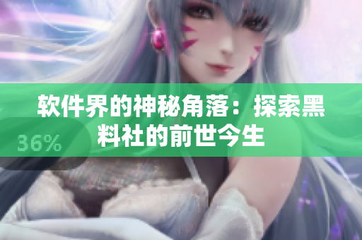软件界的神秘角落：探索黑料社的前世今生