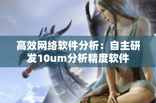 高效网络软件分析：自主研发10um分析精度软件