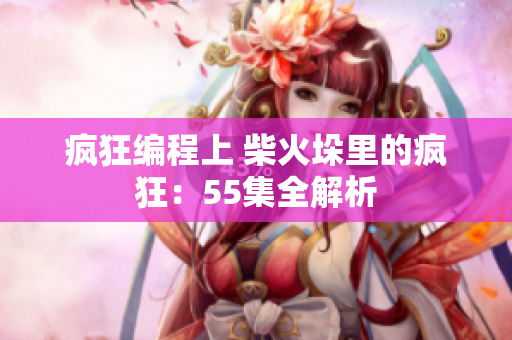 疯狂编程上 柴火垛里的疯狂：55集全解析