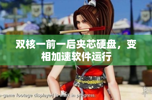 双核一前一后夹芯硬盘，变相加速软件运行