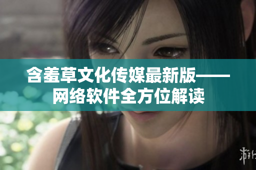 含羞草文化传媒最新版——网络软件全方位解读
