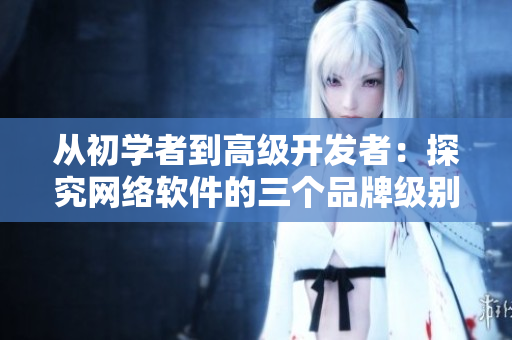 从初学者到高级开发者：探究网络软件的三个品牌级别