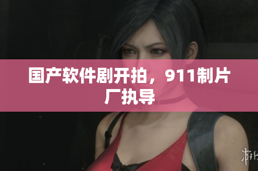 国产软件剧开拍，911制片厂执导