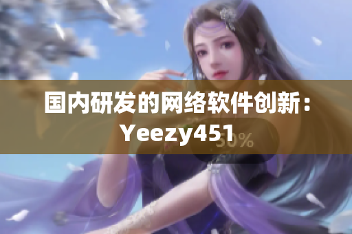国内研发的网络软件创新：Yeezy451